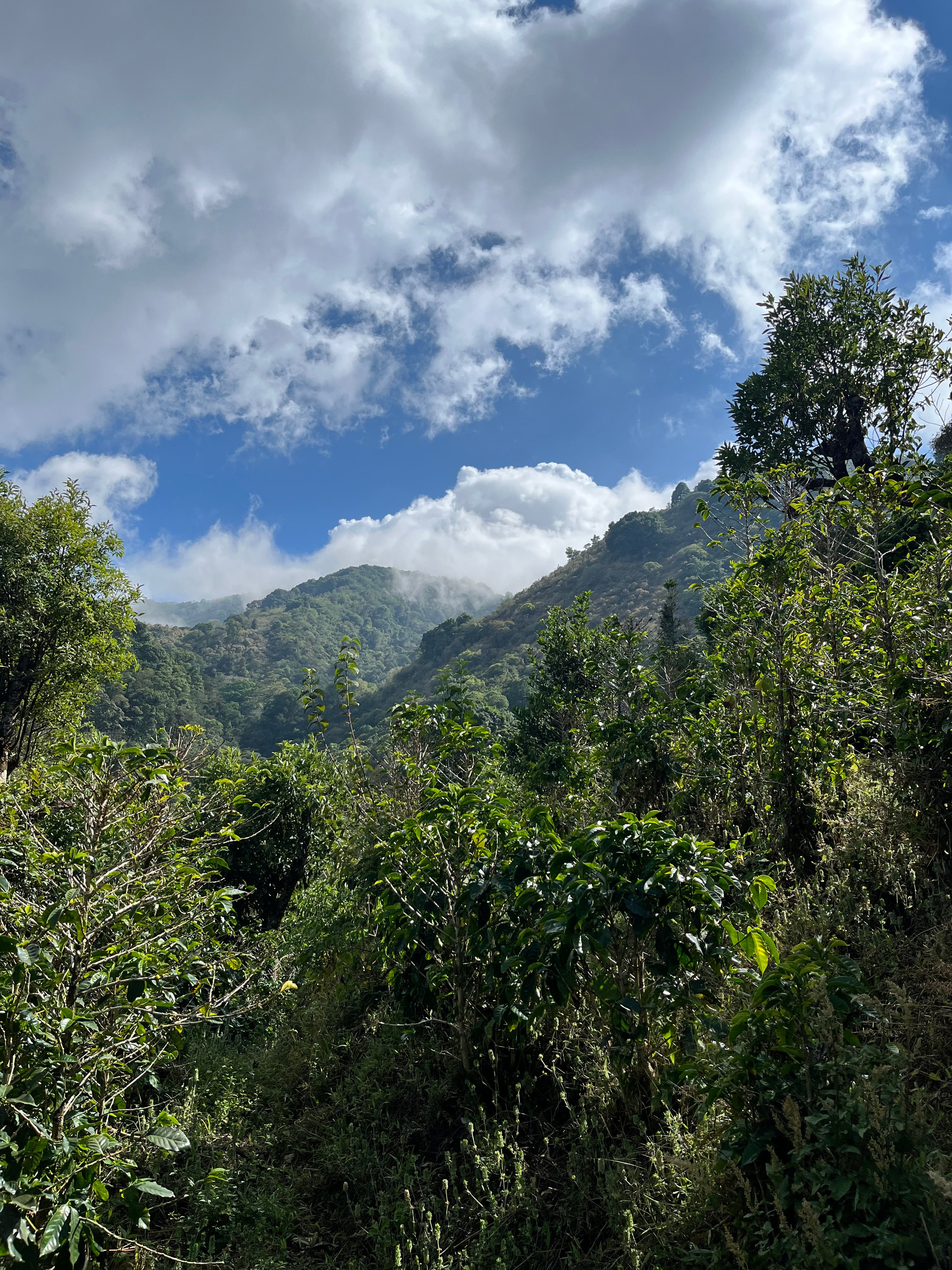 Juanachute, Santa Maria