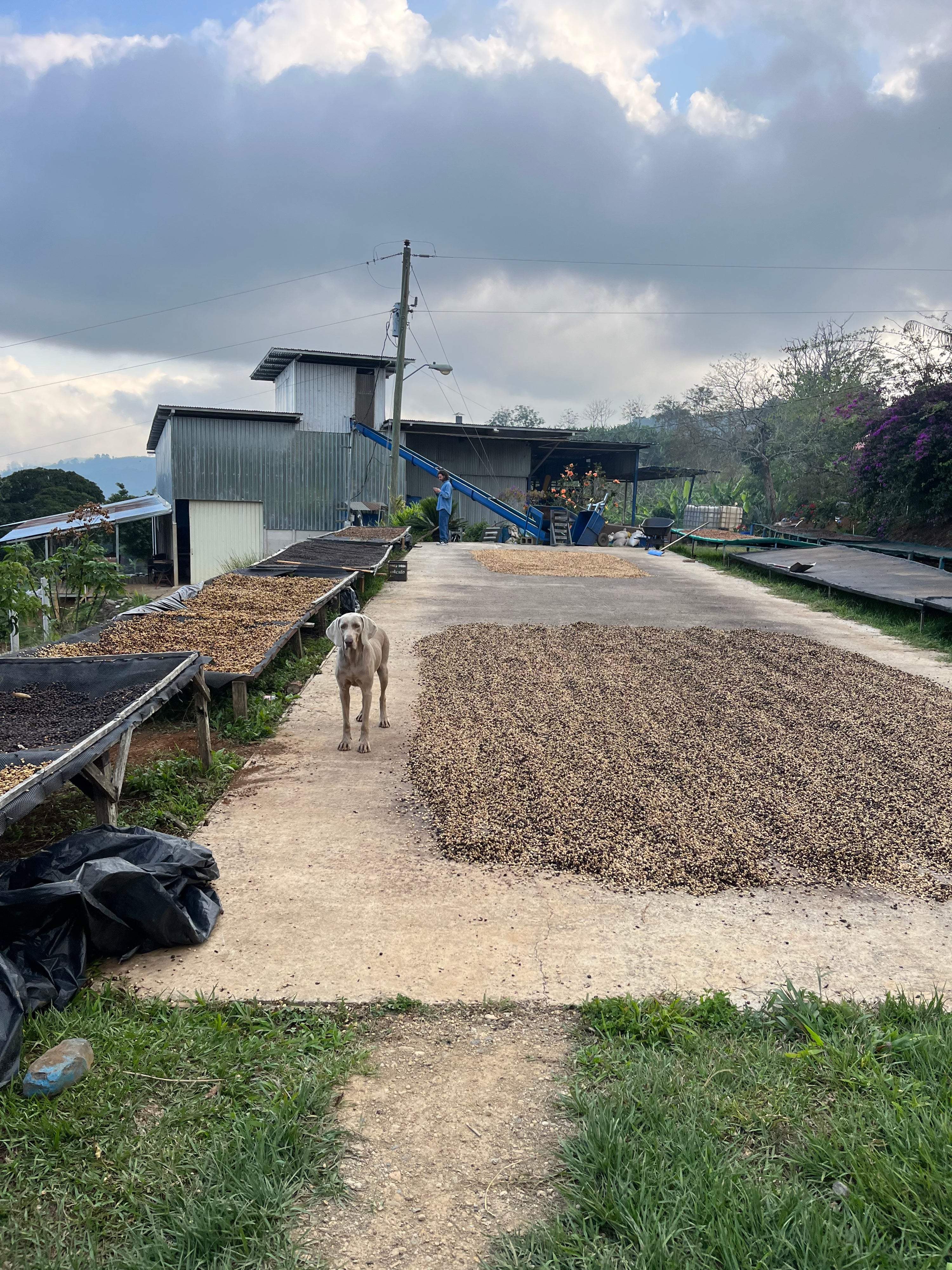 Juanachute, Santa Maria