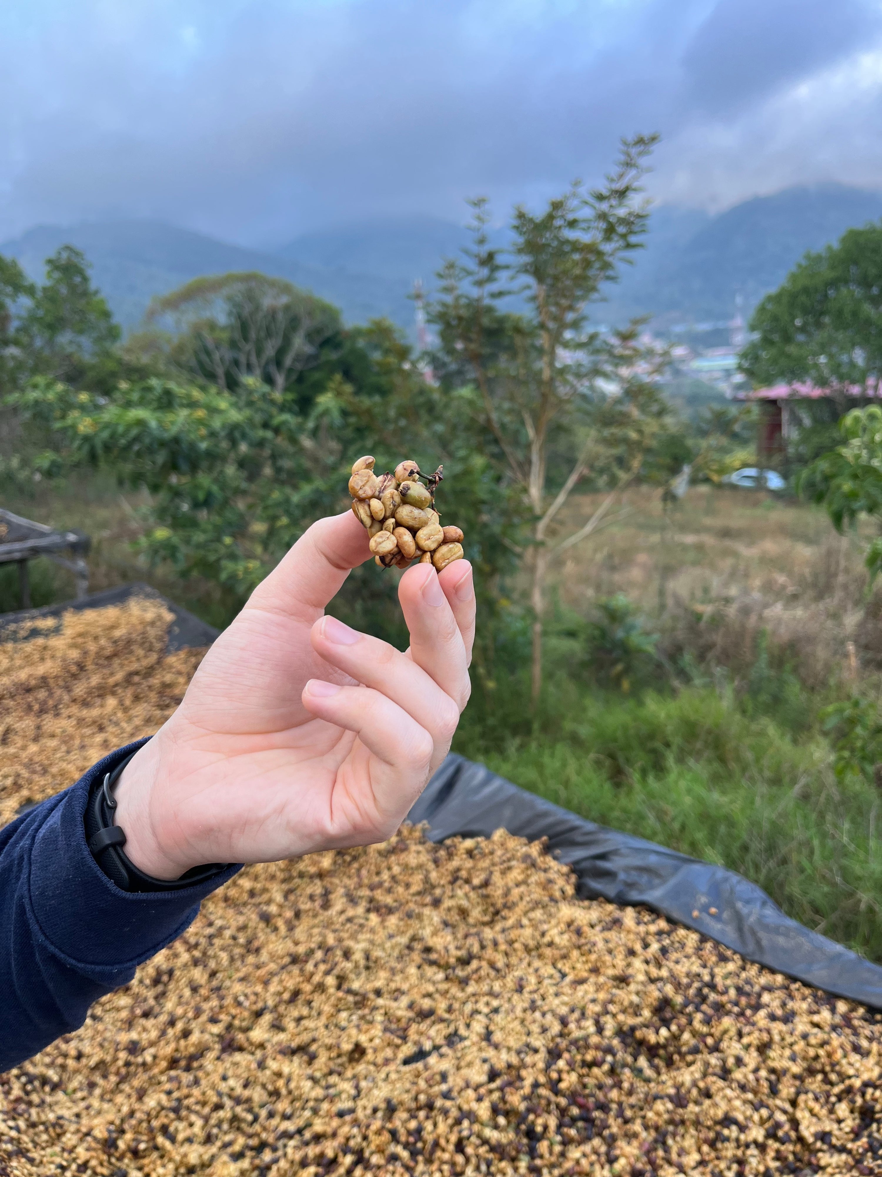 Juanachute, Santa Maria